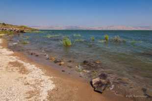 Sea of Galilee-0391.jpg